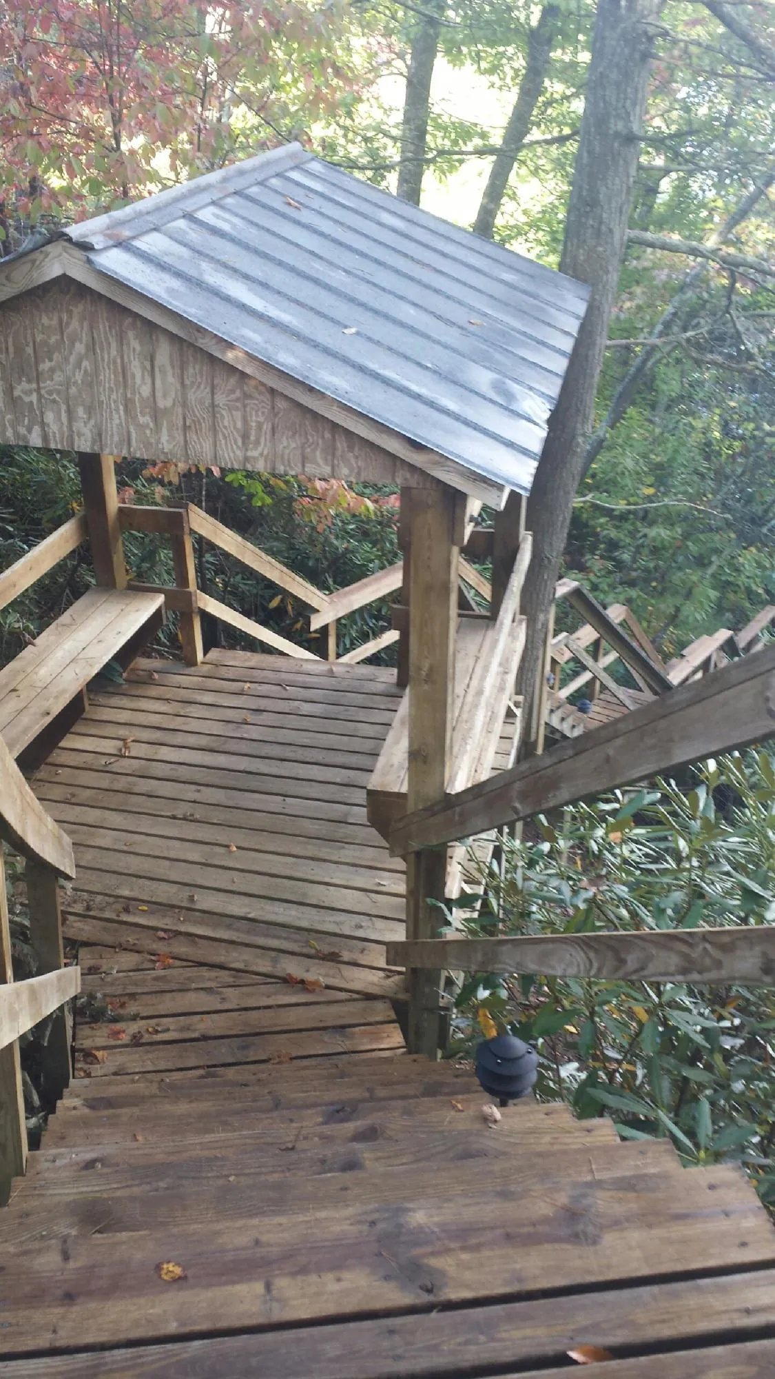 Metal roofed shelter over wooden steps on a wooded walkway — Skylight Repair & Installation work by our crew in Orchard
